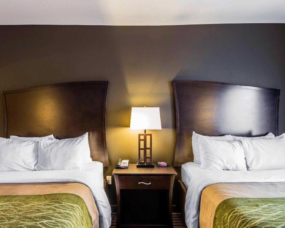 Comfort Inn & Suites Alva Buitenkant foto