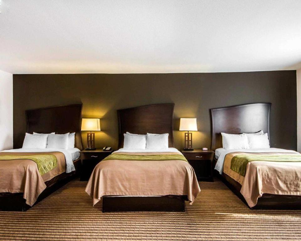 Comfort Inn & Suites Alva Buitenkant foto
